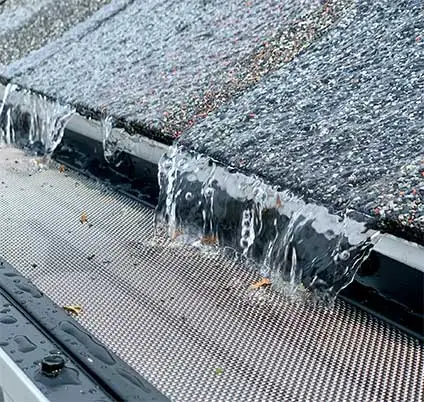 Gutter Guard